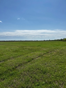 28 Acres of Prime Hunting Land For Sale on Arkansas River - image 16
