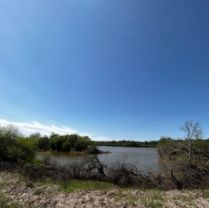 28 Acres of Prime Hunting Land For Sale on Arkansas River - image 15