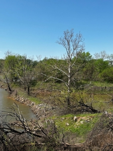 28 Acres of Prime Hunting Land For Sale on Arkansas River - image 6