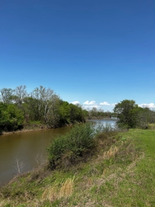 28 Acres of Prime Hunting Land For Sale on Arkansas River - image 13