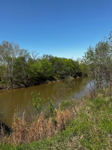 28 Acres of Prime Hunting Land For Sale on Arkansas River - image 9