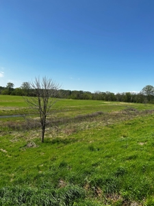 28 Acres of Prime Hunting Land For Sale on Arkansas River - image 3