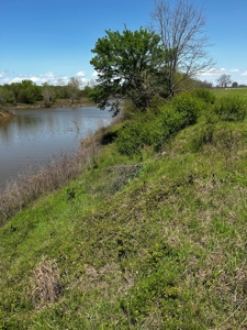 28 Acres of Prime Hunting Land For Sale on Arkansas River - image 8