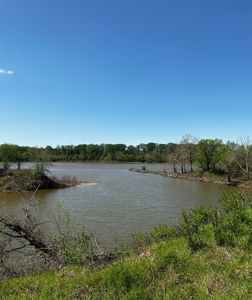 28 Acres of Prime Hunting Land For Sale on Arkansas River - image 7