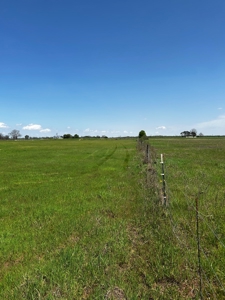 28 Acres of Prime Hunting Land For Sale on Arkansas River - image 10