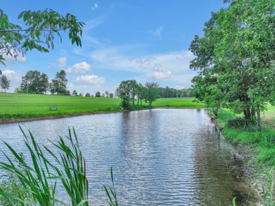 Exclusive Property with Morton Building - image 33