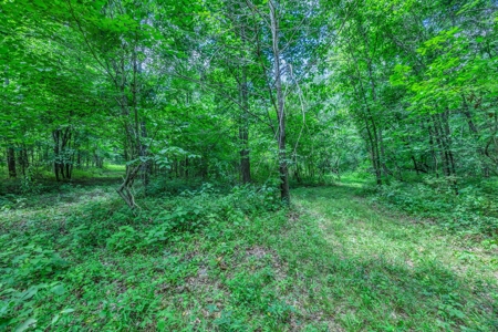 Exclusive Property with Morton Building - image 4