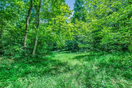 Exclusive Property with Morton Building - image 3