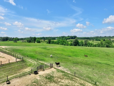 Exclusive Property with Morton Building - image 27