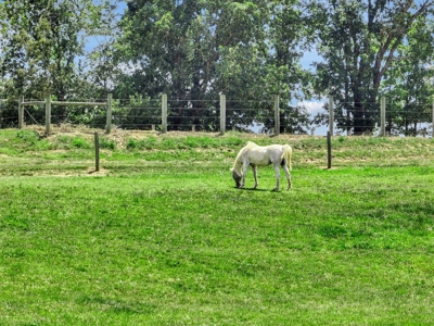 Exclusive Property with Morton Building - image 30