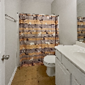 Elegant 3BR/3BA Spring Hill Home with Modern Upgrades - image 10