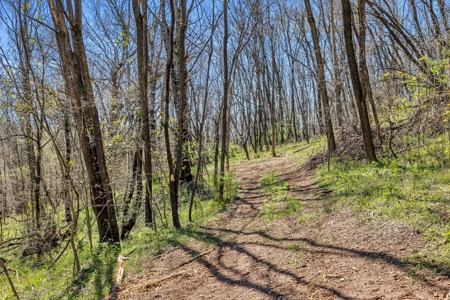 Enchanting 58.92-Acre Estate with Rustic Guest House - image 18