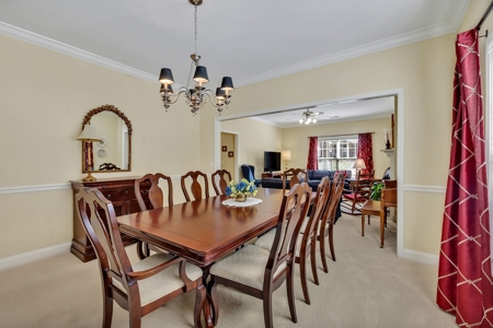 Exclusive Standalone Home in 55+ Prime Location & Upgrades - image 23