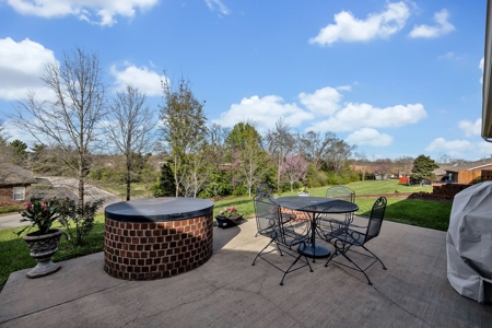 Exclusive Standalone Home in 55+ Prime Location & Upgrades - image 7