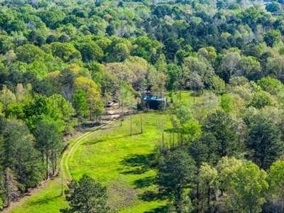 Prime Land: 83 Acres in Carthage, TX. Timber, Ag, Hunting! - image 9