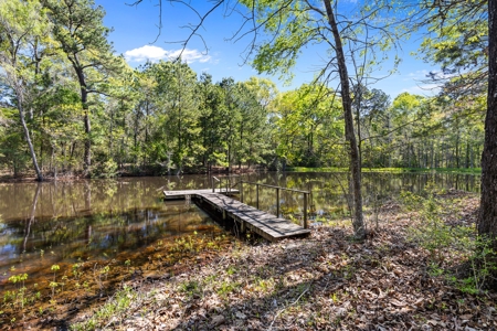 Prime Land: 83 Acres in Carthage, TX. Timber, Ag, Hunting! - image 13