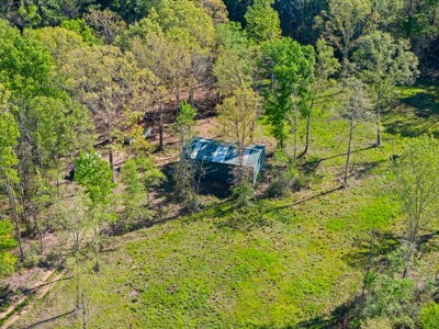 Prime Land: 83 Acres in Carthage, TX. Timber, Ag, Hunting! - image 12