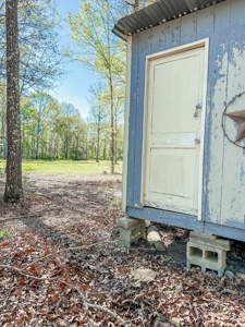 Prime Land: 83 Acres in Carthage, TX. Timber, Ag, Hunting! - image 3