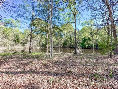 Prime Land: 83 Acres in Carthage, TX. Timber, Ag, Hunting! - image 2
