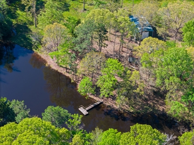 Prime Land: 83 Acres in Carthage, TX. Timber, Ag, Hunting! - image 25