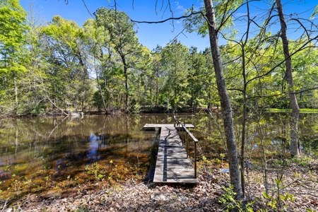 Prime Land: 83 Acres in Carthage, TX. Timber, Ag, Hunting! - image 30