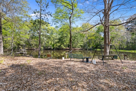 Prime Land: 83 Acres in Carthage, TX. Timber, Ag, Hunting! - image 29