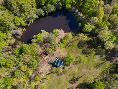 Prime Land: 83 Acres in Carthage, TX. Timber, Ag, Hunting! - image 24