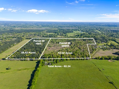 Prime Land 28+ Acres: Carthage, TX - Timber, Ag, Hunting! - image 1