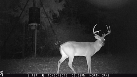 Prime Land 28+ Acres: Carthage, TX - Timber, Ag, Hunting! - image 18