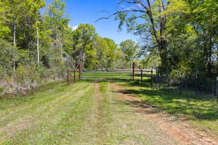Prime Land 28+ Acres: Carthage, TX - Timber, Ag, Hunting! - image 10