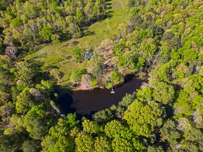 Prime Land 28+ Acres: Carthage, TX - Timber, Ag, Hunting! - image 7
