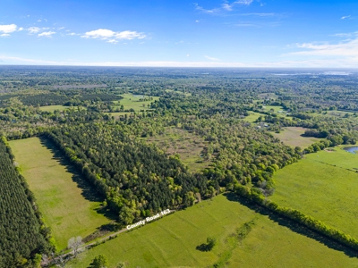 Prime Land 28+ Acres: Carthage, TX - Timber, Ag, Hunting! - image 8