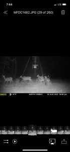 Prime Land 28+ Acres: Carthage, TX - Timber, Ag, Hunting! - image 17