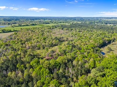 Prime Land 28+ Acres: Carthage, TX - Timber, Ag, Hunting! - image 15