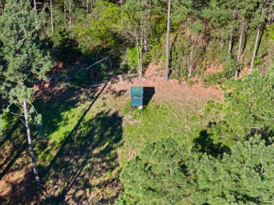 Prime Land 28+ Acres: Carthage, TX - Timber, Ag, Hunting! - image 12