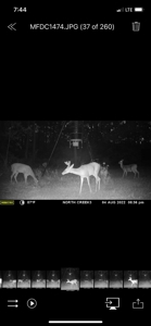 Prime Land 28+ Acres: Carthage, TX - Timber, Ag, Hunting! - image 16