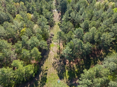 Prime Land 28+ Acres: Carthage, TX - Timber, Ag, Hunting! - image 5