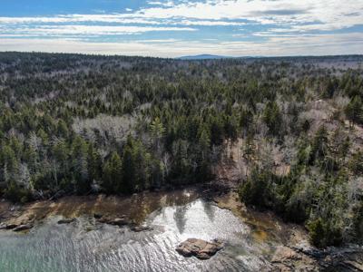 Coastal Maine Land - image 3