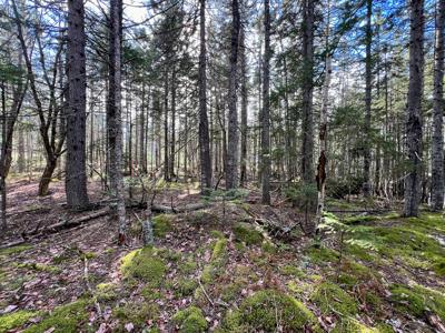 Coastal Maine Land - image 8