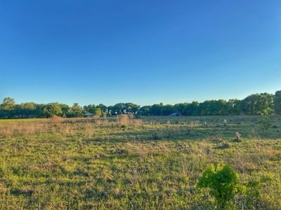 5 Acres Of Vacant Land For Sale In Gilchrist County!! - image 2