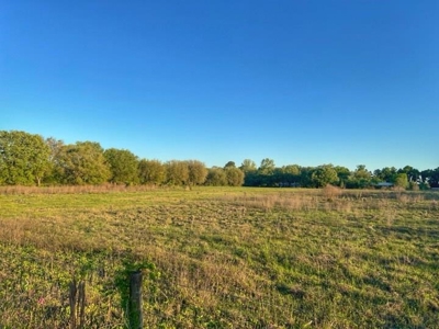 5 Acres Of Vacant Land For Sale In Gilchrist County!! - image 1