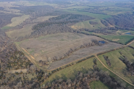Land For Sale - image 2