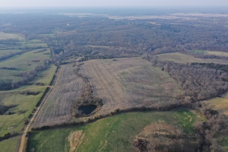Land For Sale - image 4