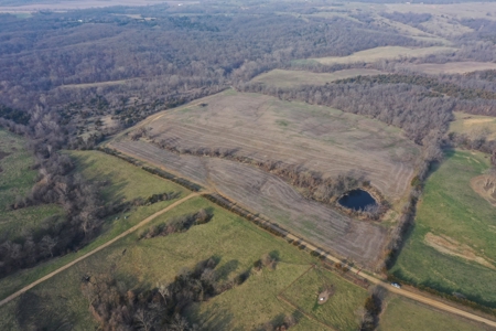 Land For Sale - image 3