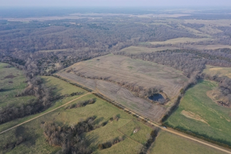 Land For Sale - image 5