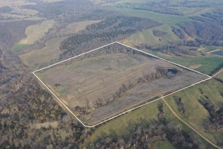 Land For Sale - image 1