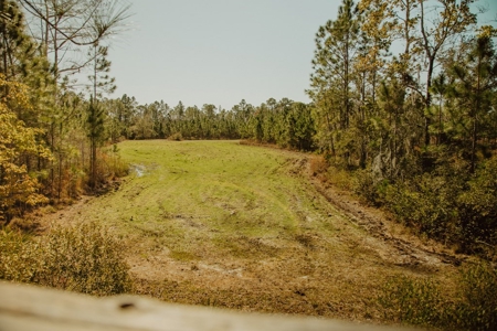 778-acre hunting property in Levy County, Florida - image 12