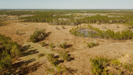 778-acre hunting property in Levy County, Florida - image 8