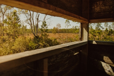 778-acre hunting property in Levy County, Florida - image 13