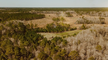 778-acre hunting property in Levy County, Florida - image 5